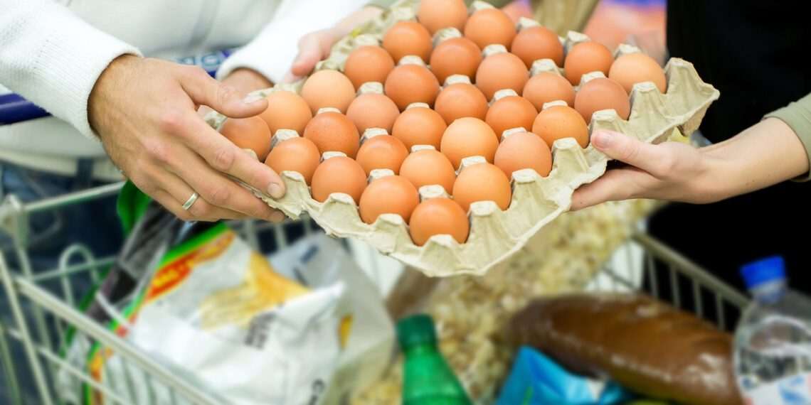 Preço do ovo tem alta de 26,7% na região Sudeste, aponta a Neogrid