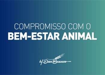 M. Dias Branco passa a utilizar apenas ovos de galinhas livres