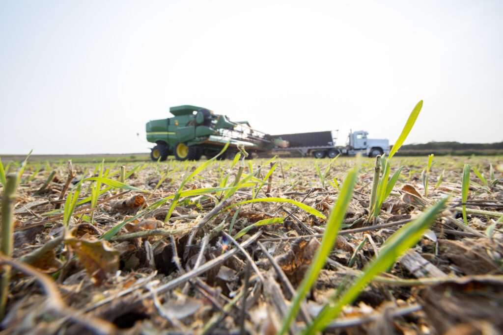 Cargill investe R$ 1,7 bilhão no Brasil; nos últimos cinco anos, foram de mais de R$ 8 bilhões
