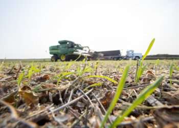 Cargill investe R$ 1,7 bilhão no Brasil; nos últimos cinco anos, foram de mais de R$ 8 bilhões