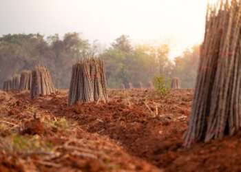 Itamaraty: governo vê com preocupação UE classificar Brasil como 'risco médio' de desmatamento