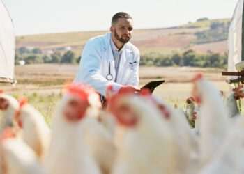 Gripe aviária: Uruguai reforça vigilância sanitária após confirmação de caso no Brasil