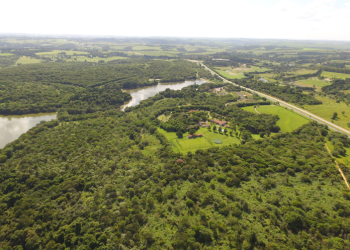 Grupo HEINEKEN coloca a agenda ESG no coração da estratégia de negócios