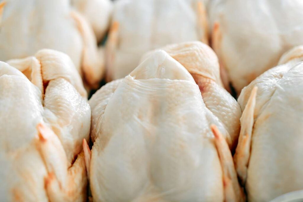 Exportação de carne frango em maio cai 12,9% ante maio de 2024, diz ABPA