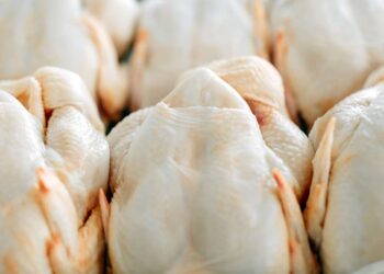 Exportação de carne frango em maio cai 12,9% ante maio de 2024, diz ABPA