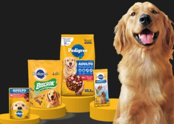 Dona das marcas Pedigree e Whiskas investe R$ 430 milhões em nova fábrica no Paraná