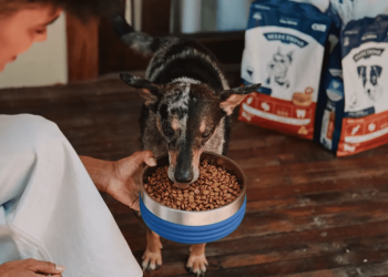 Como Pague Menos e Petz usam marcas próprias para melhorar a experiência de compra