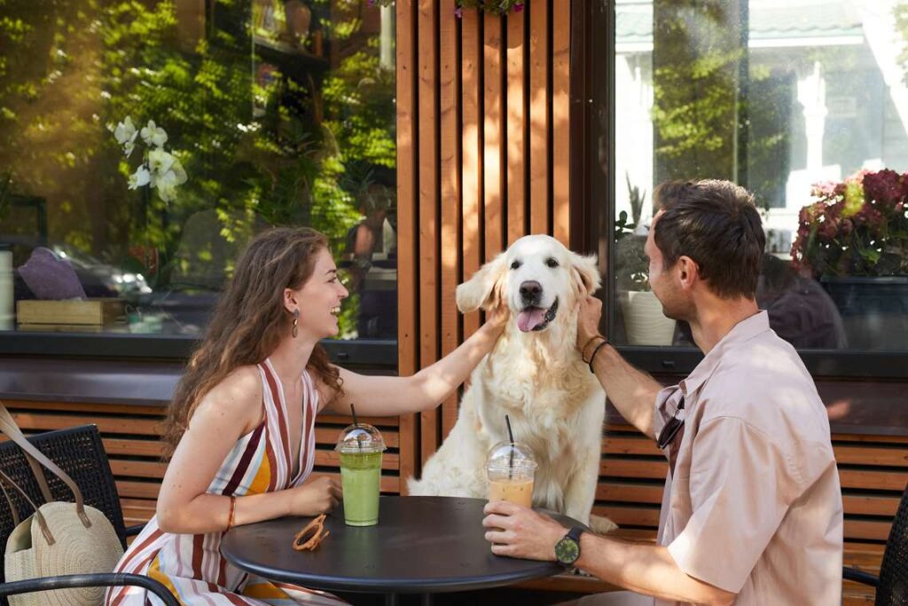 Grupo Heineken e Jet Pizzas lançam combo exclusivo para tutores e pets