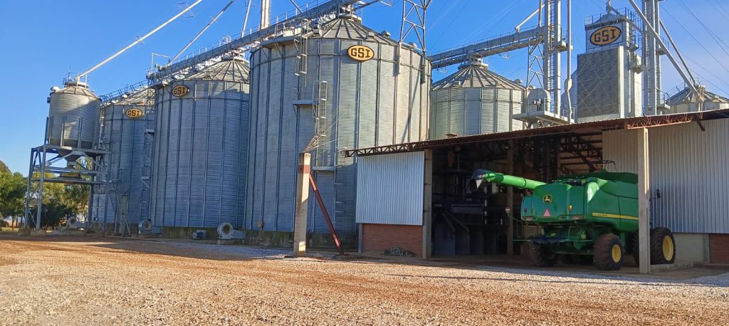 Do campo ao varejo: Kellanova aposta em milho sustentável na produção do Sucrilhos