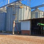 Do campo ao varejo: Kellanova aposta em milho sustentável na produção do Sucrilhos