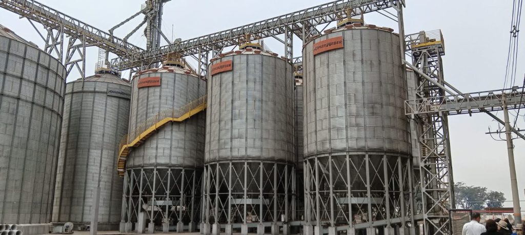 Do campo ao varejo: Kellanova aposta em milho sustentável na produção do Sucrilhos