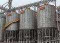 Do campo ao varejo: Kellanova aposta em milho sustentável na produção do Sucrilhos