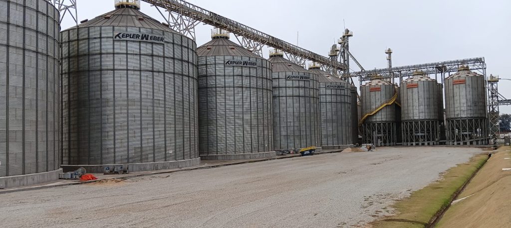 Do campo ao varejo: Kellanova aposta em milho sustentável na produção do Sucrilhos
