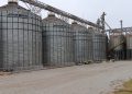 Do campo ao varejo: Kellanova aposta em milho sustentável na produção do Sucrilhos
