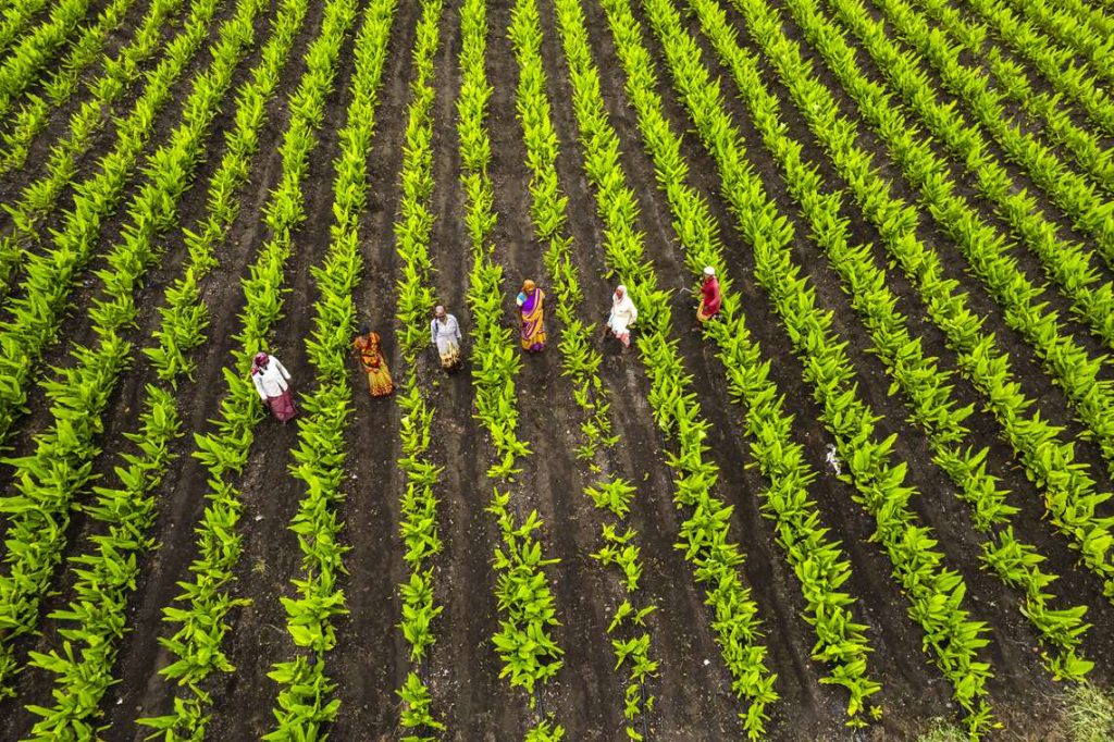 Produzimos mais em menos área se preservarmos o meio ambiente, afirma Lula