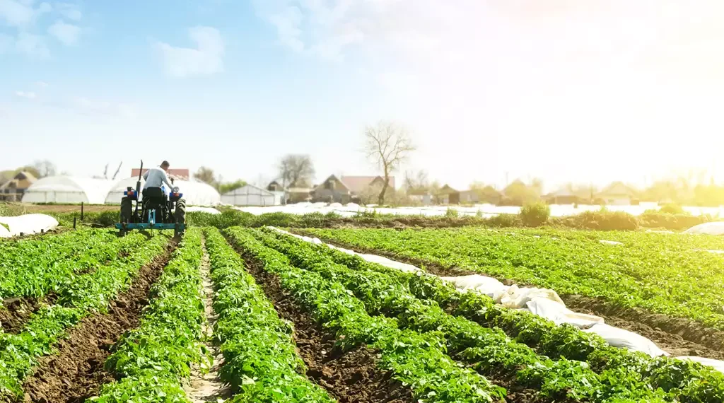 Planalto confirma Plano Safra 2025/26 de R$ 516,2 bi para agricultura empresarial